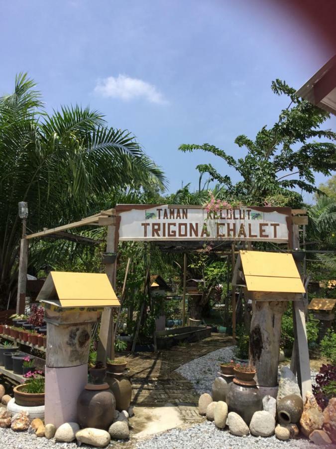 Trigona Chalet Marang Exterior photo